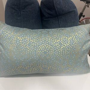 Chic Blue and Gold Accent Pillow